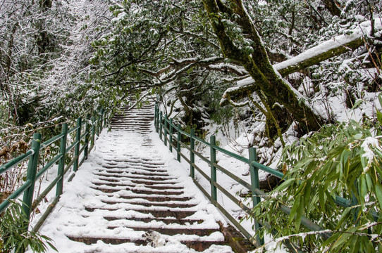 瓦屋山國家森林公園