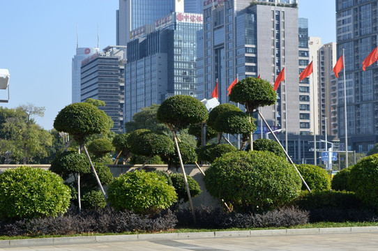 城市园艺绿化