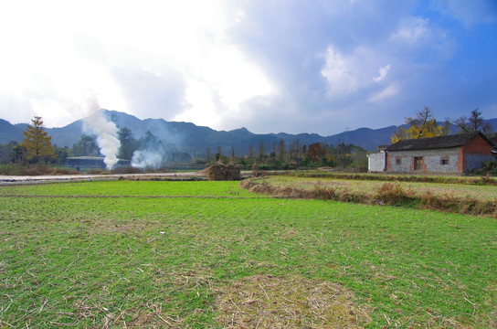 田园风景