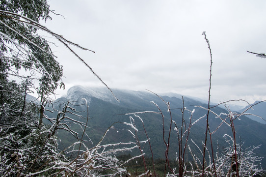 洪雅瓦屋山原始森林