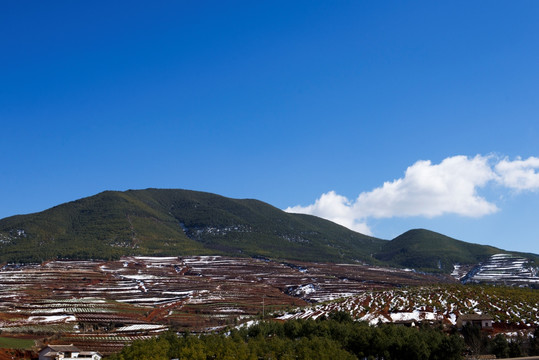 红土地 冰雪土地