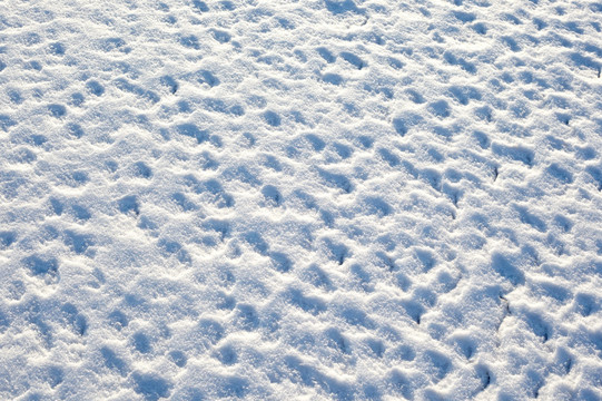 雪地 雪 纹理 素材