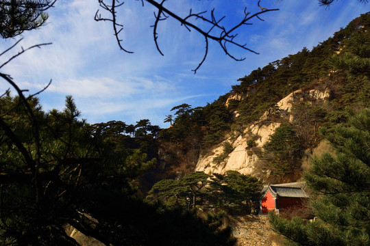 泰山风光