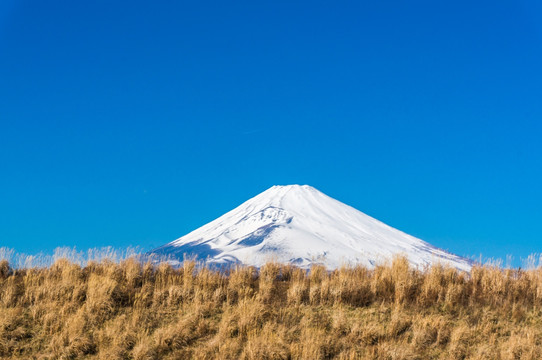 日本 富士山