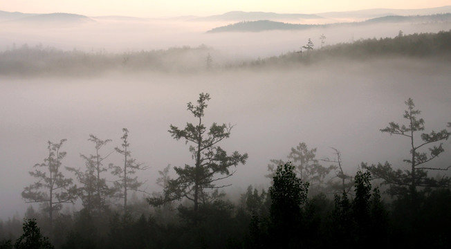 森林云海晨雾