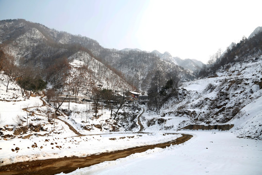 雪景