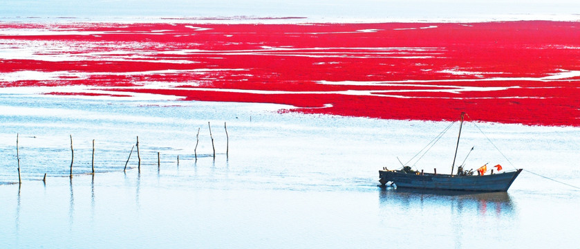 盘锦 红海滩 湿地 渔船