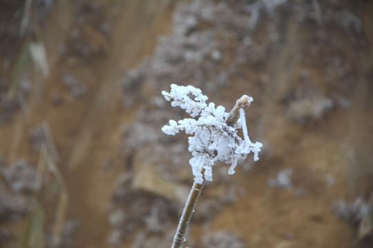 雪景