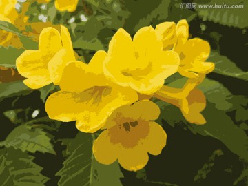 黃花綠葉 裝飾畫 合層
