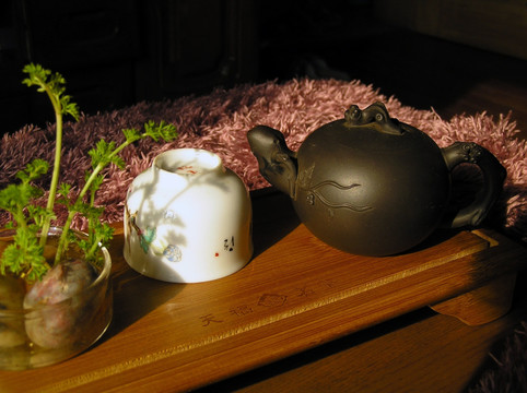 茶具与绿色植物