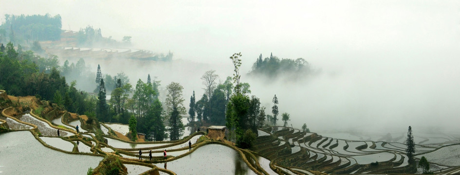 原阳梯田