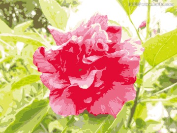 花艷葉嫩 裝飾畫 合層