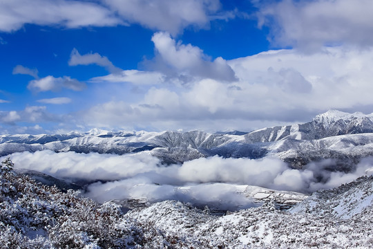 雪宝鼎