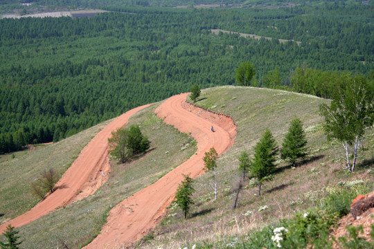 原始森林 山坡路道