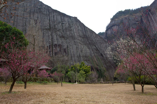 武夷山石壁 武夷山山景