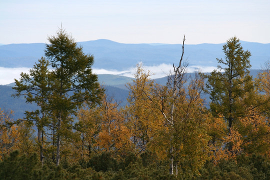 重山峻岭雾气缭绕 天然原始森林