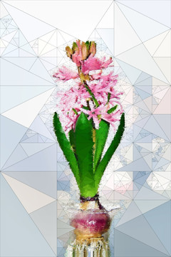 裝飾畫 花卉 風(fēng)信子