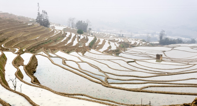 龙树坝梯田