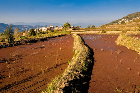 龙树坝梯田