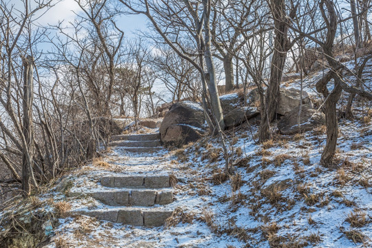 雪后的山中小路