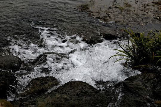 溪水 水花