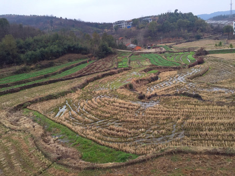 田地