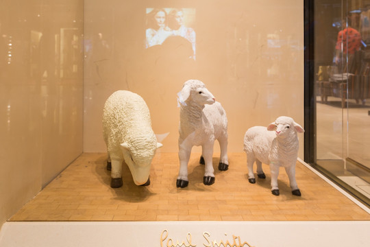 橱窗 三只羊
