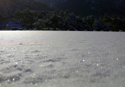 覆雪大地