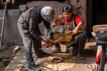 杀年鸡祭祀