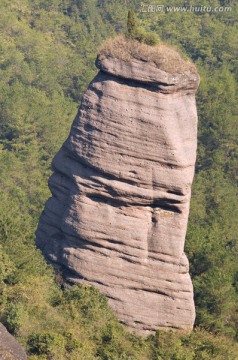 冠豸山生命之根