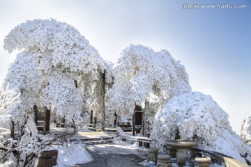 天柱山雪景