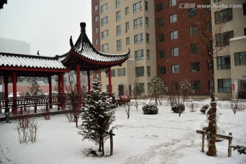 小区雪景