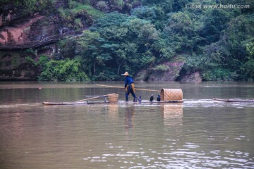 江西龙虎山鱼鹰