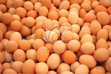 蛋 鸡蛋 生鸡蛋