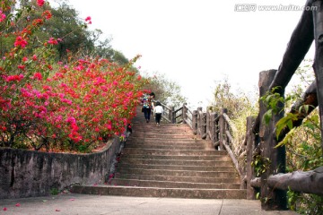 山间楼梯风景