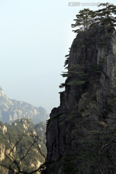 黃山景