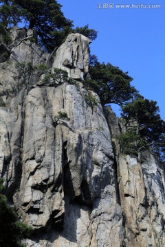 黃山景