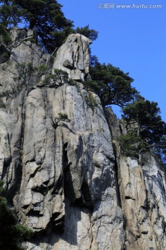 黄山景