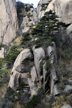 黄山石峰