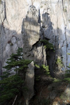 黄山怪石风光