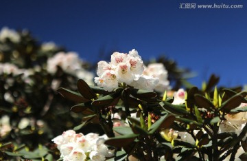 云南大理苍山