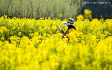 油菜花田里的红衣女郎