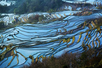 哈尼族坝达蓝色梯田景观