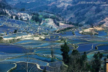 哈尼族梯田风光