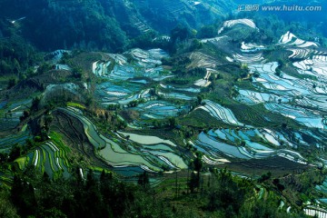 多彩梯田