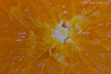 高清鲜橙切面