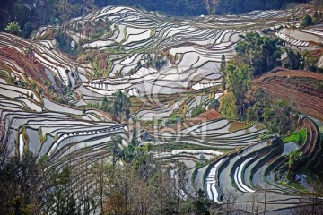 大地雕塑的典范元阳老虎嘴梯田