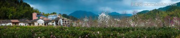 广州从化溪头阿婆六村全景