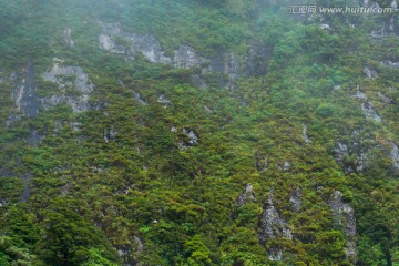 植被 大山 高山