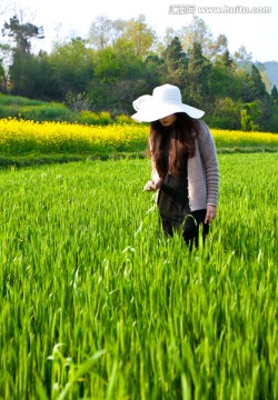 油菜花 麦田 女模特